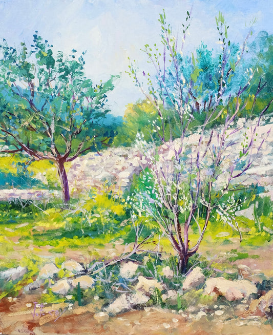 ALMENDROS EN FLOR "IBIZA" by Jose Felipe Coy