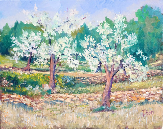 ALMENDROS EN FLOR "IBIZA" by Jose Felipe Coy